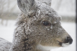 its snowing out