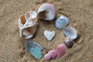 circle of love