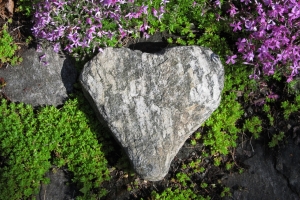 garden love
