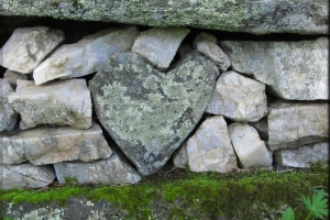 you rock