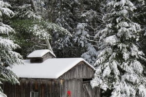 christmas sugarhouse