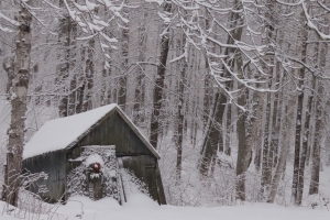 decorated shed ii