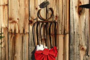 woodshed santa