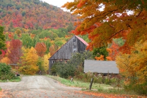 autumn barn