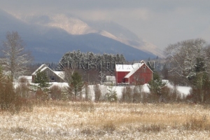 winter day
