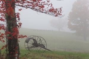 misty morning
