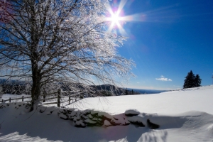 fine winter day