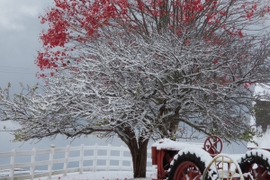 change of season