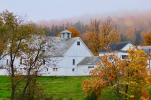 adams farm