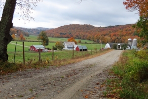 down the valley fall
