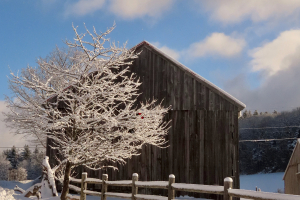 hamilton barn