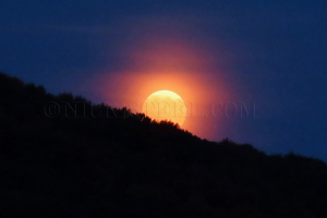 moonrise