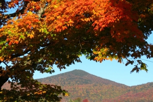 haystack