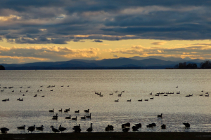 lake-champlain