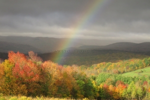pot o gold