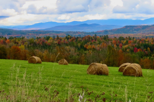 somewhere in VT