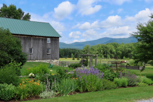 summer barn