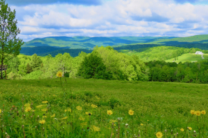 the green mountains