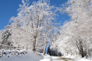 winter road