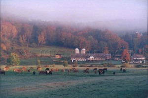 wheeler farm