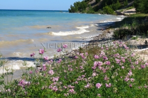 Michigan shoreline