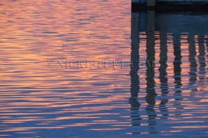 reflections & dock