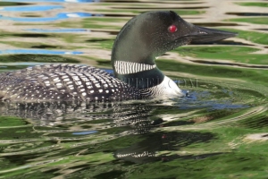 adult water on face