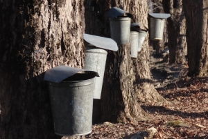 a run of buckets