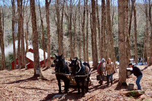 Connie & Nicky & Sugarhouse