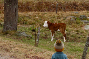 hi-friend